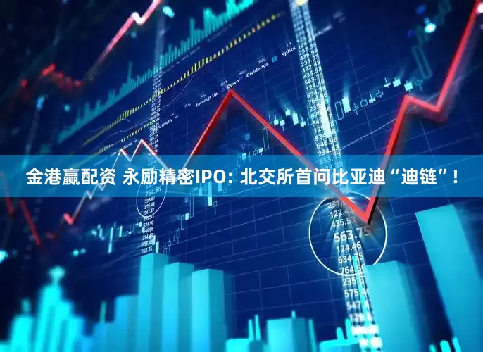 金港赢配资 永励精密IPO: 北交所首问比亚迪“迪链”!