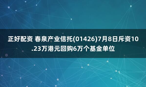 正好配资 春泉产业信托(01426)7月8日斥资10.23万港元回购6万个基金单位